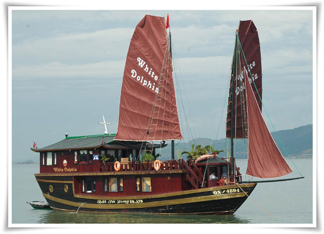 Halong White Dolphin cruise